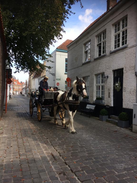 Guestsuite Lady Anna Brugge Eksteriør billede
